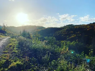 Die Natur gibt uns so viel Kraft! 😍 🙌🏼 - Instagram Bild 1