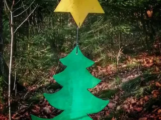 Der Weihnachtsweg in Büschergrund! - Instagram Bild 4
