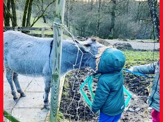 Wie gehts euch?! - Instagram Bild 2