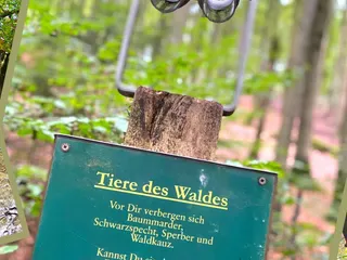Gestern haben wir die Siegquelle besucht! 💫 - Instagram Bild 3