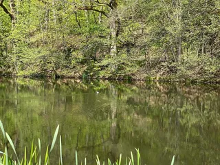 Wahnsinn, was die Natur in ihrer ganzen Pracht zu bieten hat. 🥰 - Instagram Bild 2