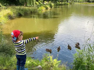 Kennt ihr den Gambachsweiher in Freudenberg? 🦆 - Instagram Bild 4
