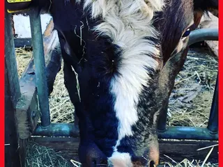 Wie gehts euch?! - Instagram Bild 4