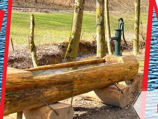 📌 Kennt ihr den Büscher Weiher? Dieser Spaziergang hat uns sehr gut gefallen! - Instagram Bild 4