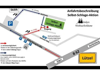 🎄Weihnachtsbaum-Selbst-Schlage-Aktion‼️ - Instagram Bild 3