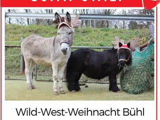 Wow der letzte Monat des Jahres hat begonnen!⠀ - Instagram Bild 2