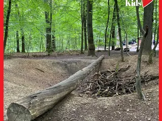 Gestern haben wir wieder den Erlebniswald Historischer Tiergarten besucht. Da ist er, schön wie immer! - Instagram Bild 3