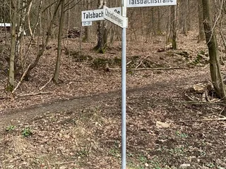 Heute waren wir in Eiserfeld unterwegs! Wir besuchten den Osterhasen Baum vom AWO Kindergarten Birkenweg. - Instagram Bild 4