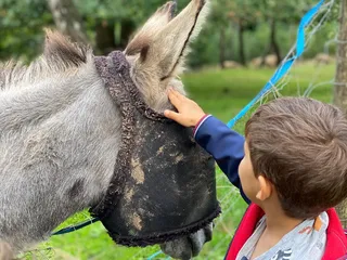 Schön wars! Wie immer auf dem @birkenhofsiegerland! ❤️ - Instagram Bild 3