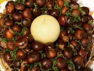 Habt ihr schon genug Kastanien gesammelt? 🌰🤔 - Instagram Bild 3