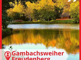 Buenos dias! Tja!😅 Am Ende sind wir gestern nicht nach Wissen gefahren, weil die Kinder lieber zum Freibad wollten. - Instagram Bild 1