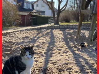 Hola! 🤗Danke für eure Zahlreiche Nachrichten! ❤️ - Instagram Bild 5
