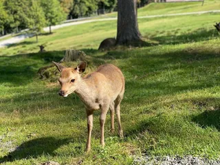 <unbezahlte Werbung> Wir sind heute im Panorama Park, immer wieder wunderbar hier ❤️👌🏽 - Instagram Bild 4
