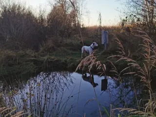 Heute habe ich die süßeste Nachricht von einer sehr lieben Mami erhalten mit einem super Tipp der Woche und natürlich teile ich ihn sehr sehr gerne! - Instagram Bild 4