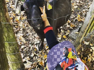 ☀️ Heute ist ein schöner Tag um einen Bauernhof zu besuchen! 🐄🐓 - Instagram Bild 4