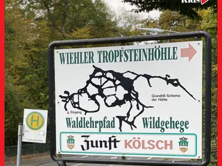 Gestern waren wir mit Andrea von @Freizeittippsnrw und ihren süßen Kids in Wiehl und haben die Wiehler Steinhöhle, den Waldlehrpfad und den Tierpark besucht. 💫 - Instagram Bild 2