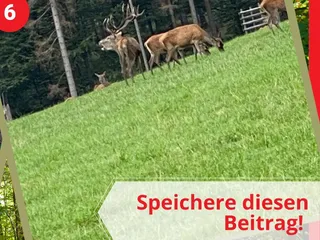 Gestern haben wir die Siegquelle besucht! 💫 - Instagram Bild 6