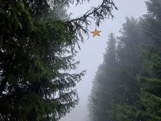 Hi! Hier haben wir mehr Bilder + Infos von dem Weihnachtsweg in Wilgersdorf! - Instagram Bild 2