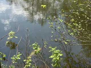 Wahnsinn, was die Natur in ihrer ganzen Pracht zu bieten hat. 🥰 - Instagram Bild 3