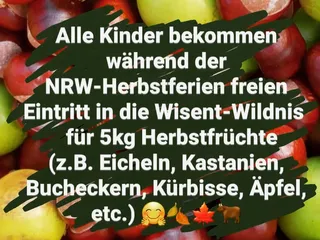 Habt ihr schon genug Kastanien gesammelt? 🌰🤔 - Instagram Bild 6
