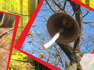 ⚠️Achtung!⛔️ Momentan ist der Weg wegen Baumfällungen abgesperrt‼️😭😩 - Instagram Bild 4