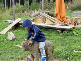 Heute sind wir am Rothaasteig, in der @Wisentwelt und haben viel Spaß! ❤️ - Instagram Bild 3