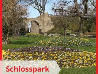 Wir waren wieder im Park des Oberen Schlosses! - Instagram Bild 1
