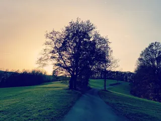 Geburtstag feiern in Zeiten von Corona: - Instagram Bild 4