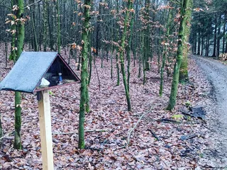 Habt ihr den Obersdorfer Weihnachtsweg schon besucht? - Instagram Bild 5