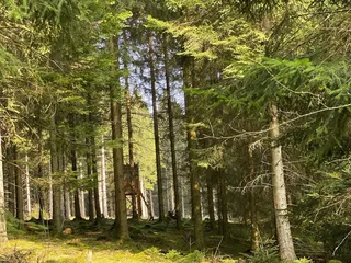 🥾Wanderweg in Eichen! - Instagram Bild 5