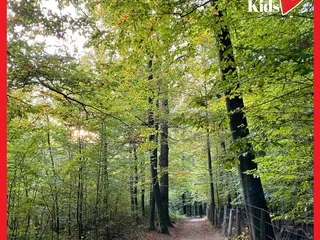 Gestern waren wir mit Andrea von @Freizeittippsnrw und ihren süßen Kids in Wiehl und haben die Wiehler Steinhöhle, den Waldlehrpfad und den Tierpark besucht. 💫 - Instagram Bild 9