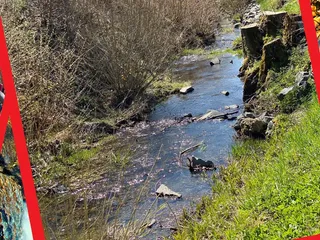 Sooo! Dieser Spielplatz ist in Harbach: und wir sind noch dran weitere Spielplätze und Parks mit Bäche oder Wasserspielmöglichkeiten zu präsentieren! 💦 - Instagram Bild 2