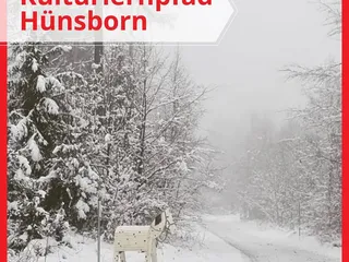 Der Natur und KulturLehrpfad bei Oberholzklau, Hünsborn, Wenden bedeckt mit “Puderzucker”! - Instagram Bild 1