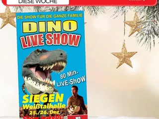 Hola! 🤗 Vielen Dank für all eure Nachrichten und guten Wünsche, es geht uns schon viel besser! - Instagram Bild 3