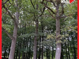 💫Spielplatz, Wald und Flieger: - Instagram Bild 6