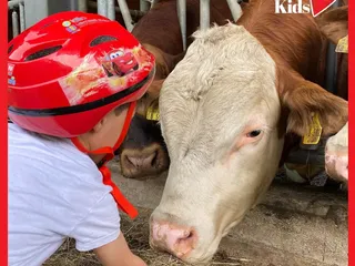 Sohlbach, der kleinste Ortsteil von Netphen, hat eine Menge zu bieten! Was für ein schöner Ort! 💫 - Instagram Bild 7
