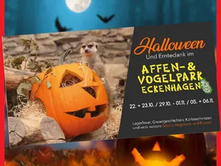 🎃Viele von uns wollen wissen, welche Events es zu Halloween gibt! 🤩 - Instagram Bild 6