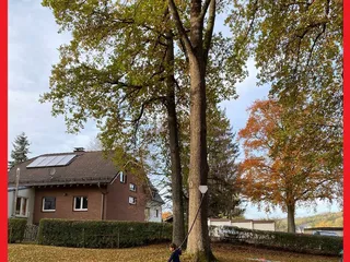 Hola!! Vor kurzem haben wir den neu renovierten Spielplatz Dr. Wäldchen in Dahlbruch besucht, der schon immer zu unseren Lieblingsplätzen gehörten, denn das schöne Gelände strahlt für mich viel Ruhe aus. Natürlich ist es jetzt sehr besucht, weil es neu ist, aber es hat immer noch seinen Charme und das Thema „Ab in den Dschungel!“ ist sehr cool umgesetzt! - Instagram Bild 9