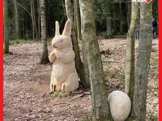 ☀️Heute sind wir ein Stück den Quellenweg entlang gelaufen und haben uns die Holzskulpturen angeschaut! 🤩 - Instagram Bild 8