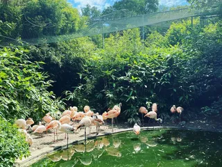 Hi there! Heute sind wir wieder im  @affenundvogelparkeckenhagen! Die Kids lieben es hier und dadurch dass wir die Jahreskarte haben, lohnt es sich total für uns. - Instagram Bild 3