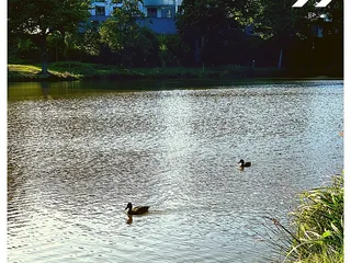Buenos dias! Tja!😅 Am Ende sind wir gestern nicht nach Wissen gefahren, weil die Kinder lieber zum Freibad wollten. - Instagram Bild 5