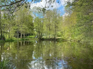 Wahnsinn, was die Natur in ihrer ganzen Pracht zu bieten hat. 🥰 - Instagram Bild 1
