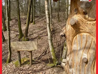 ☀️Heute sind wir ein Stück den Quellenweg entlang gelaufen und haben uns die Holzskulpturen angeschaut! 🤩 - Instagram Bild 5
