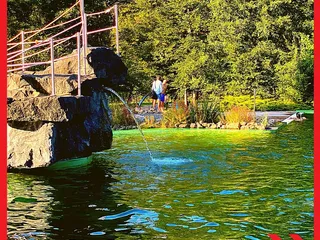 <unbezahlte Werbung> 💚 Grün, grün, grün, - Instagram Bild 7