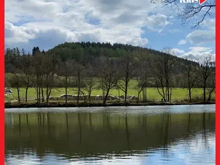☀️Heute sind wir ein Stück den Quellenweg entlang gelaufen und haben uns die Holzskulpturen angeschaut! 🤩 - Instagram Bild 3
