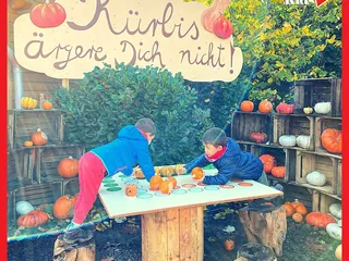 Heute haben wir uns vom Herbstmarkt im Gertrudenhof in Hürth verabschiedet. Ab nächsten Samstag, den 06.11., wird er zum "Winterzauber". Es wird eine große Weihnachtsausstellung geben, Christmas Candy Beach mit tollen Hüpfburgen, Glühweinhütte, Spielplatz und Gnadenhof-Streichelzoo. - Instagram Bild 4