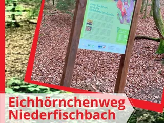...und vom Parkplatz unterhalb des Tierparks wandert man über Waldwege entlang des Otterbachs… - Instagram Bild 1