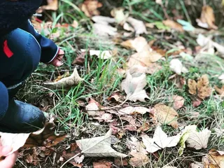 Hi! 🤗 Heute bleiben wir mal zu Hause. Die Kids wollen im Garten spielen und ihre Naturschätze weiter sammeln 🥰 - Instagram Bild 2