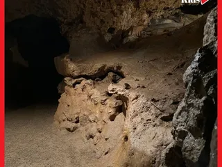 Gestern waren wir mit Andrea von @Freizeittippsnrw und ihren süßen Kids in Wiehl und haben die Wiehler Steinhöhle, den Waldlehrpfad und den Tierpark besucht. 💫 - Instagram Bild 3
