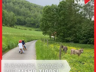Sohlbach, der kleinste Ortsteil von Netphen, hat eine Menge zu bieten! Was für ein schöner Ort! 💫 - Instagram Bild 10